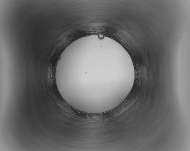 X0000114231058200910161606