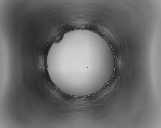 X0000114231060200910161606