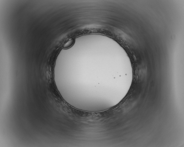 X0000114231062200910161606