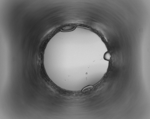 X0000114231064200910161606