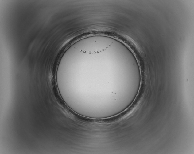 X0000114231065200910161606