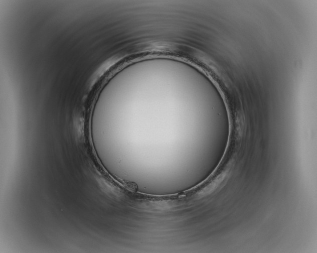 X0000114231066200910161606