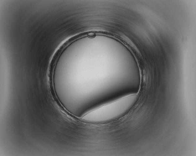 X0000114231068200910161606