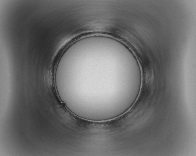 X0000114231069200910161606