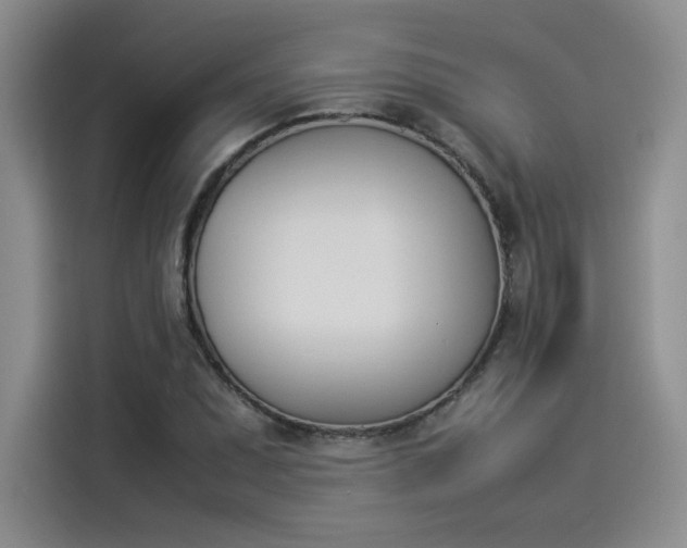 X0000114231071200910161606
