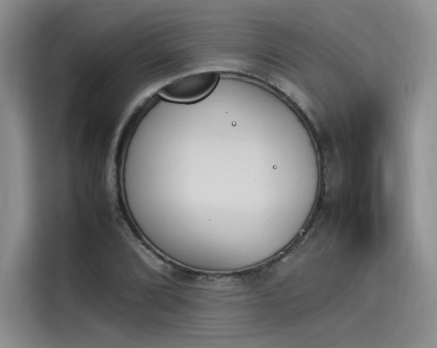 X0000114231072200910161606
