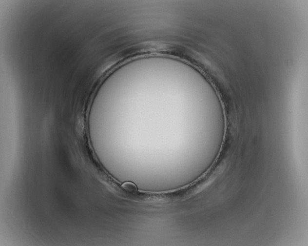 X0000114231073200910161606