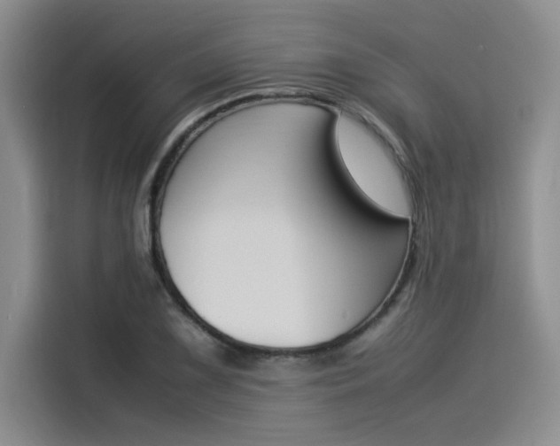X0000114231075200910161606