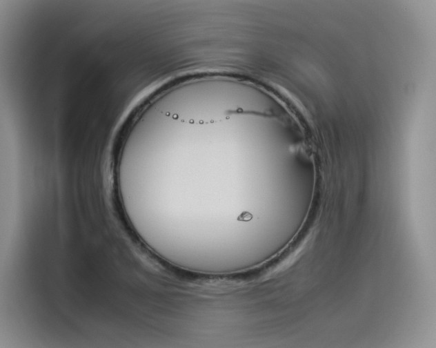 X0000114231077200910161606