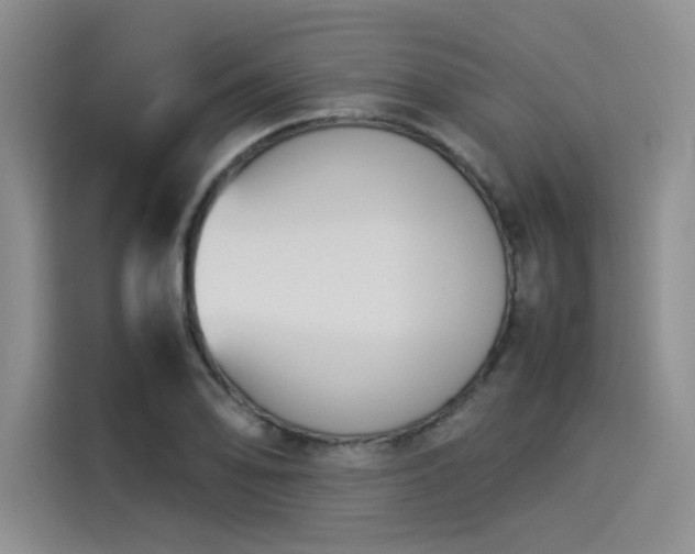 X0000114231078200910161606