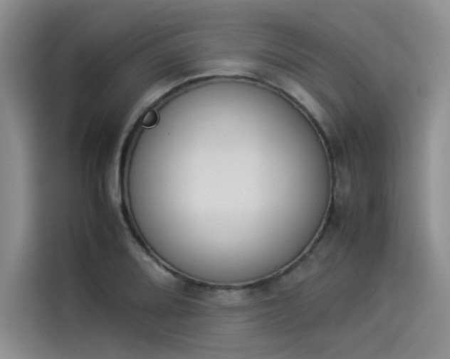 X0000114231080200910161606
