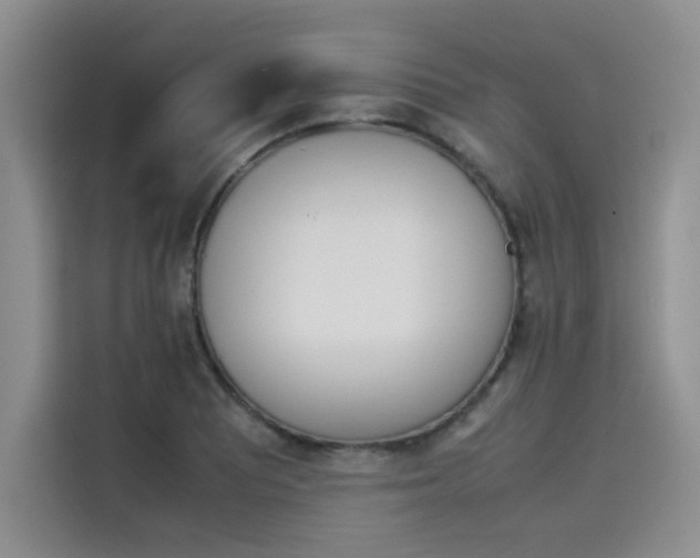 X0000114231081200910161606