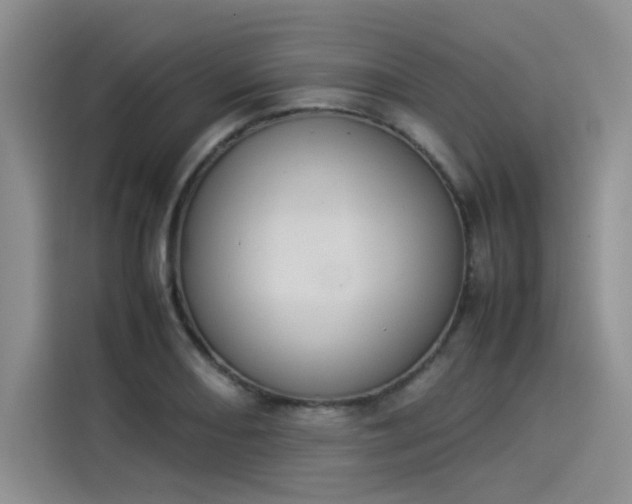 X0000114231082200910161606