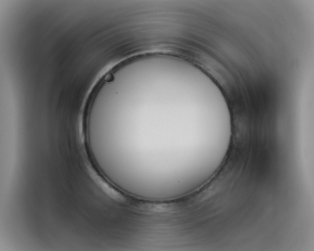 X0000114231084200910161606