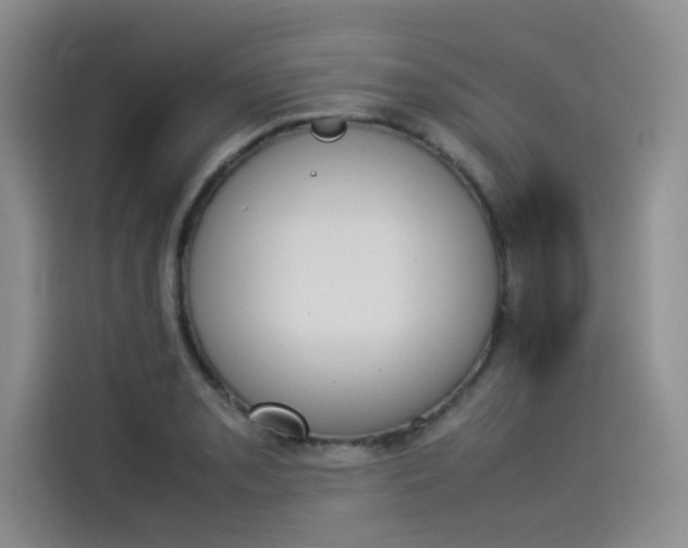 X0000114231085200910161606