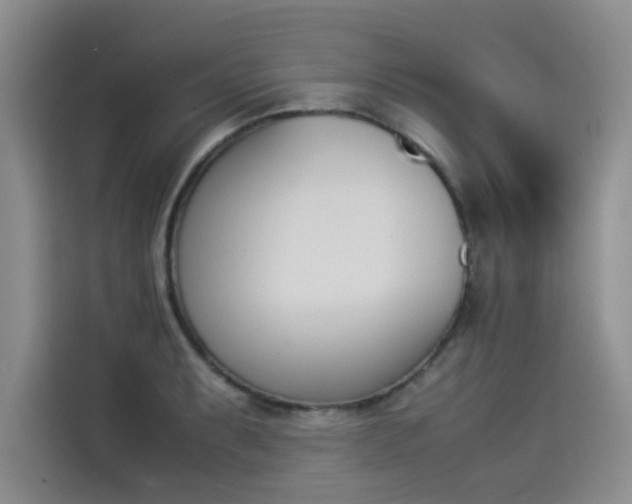 X0000114231087200910161605