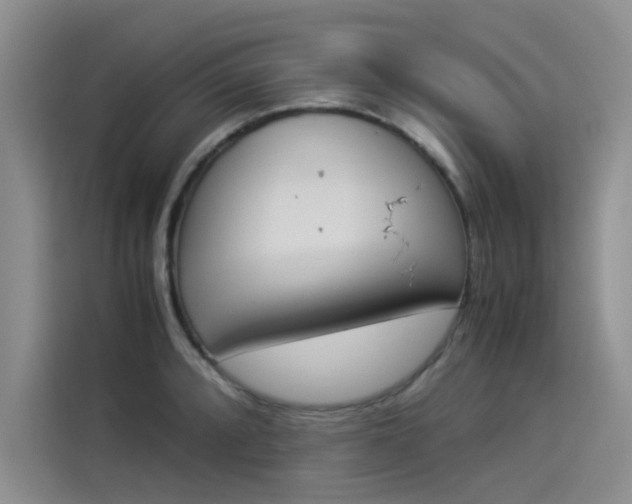 X0000114231088200910161605