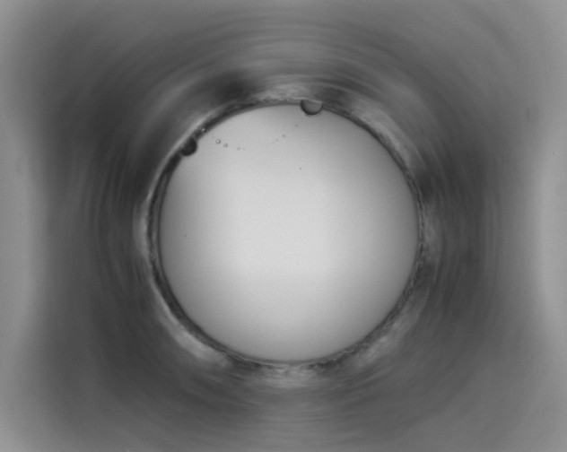 X0000114231090200910161605