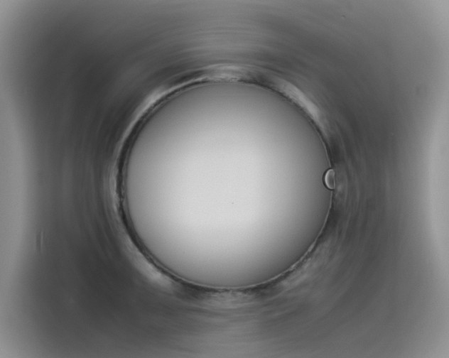 X0000114231091200910161605