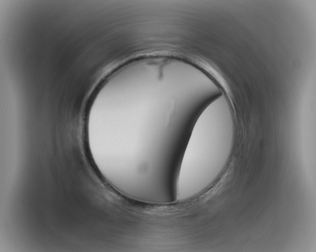 X0000114231093200910161605