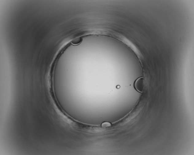 X0000114231095200910161605