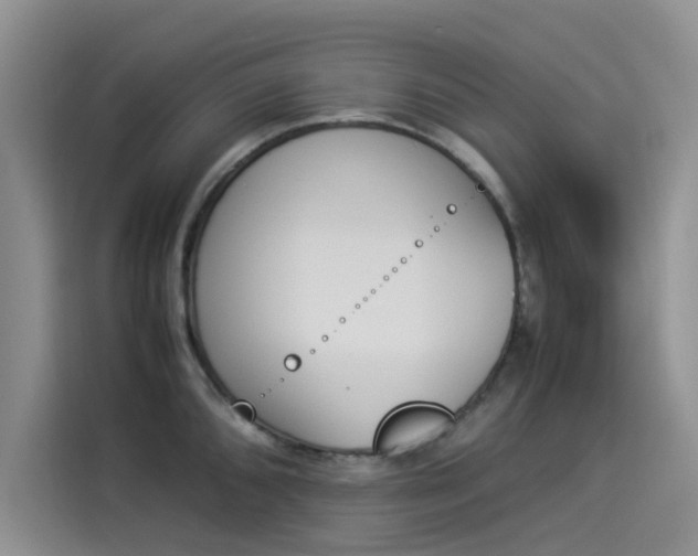 X0000114231096200910161605