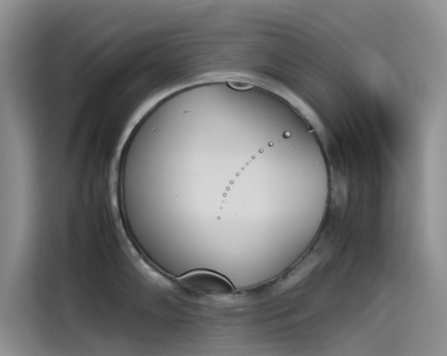 X0000114231102200910161605