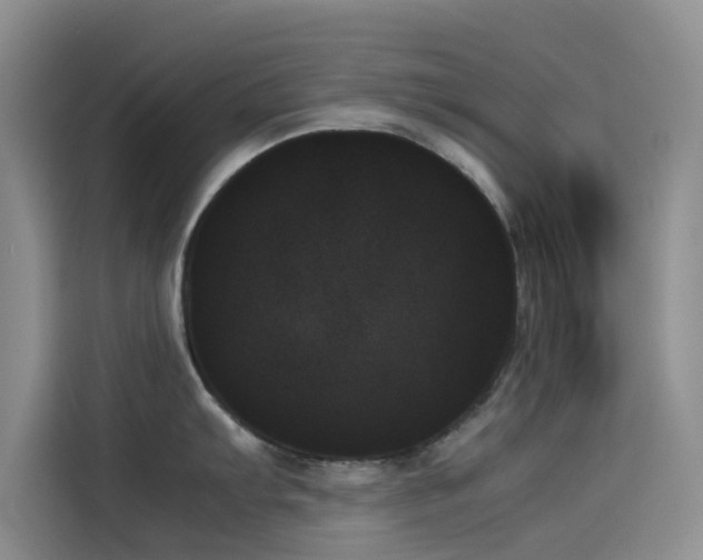 X0000114231103200910161605