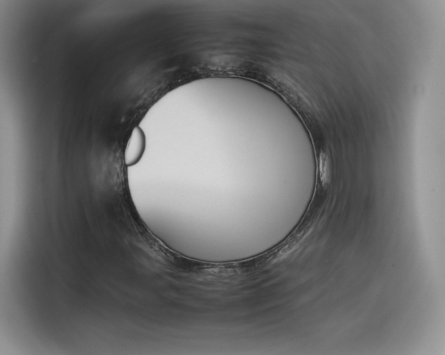 X0000114231107200910161605
