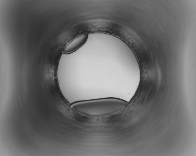 X0000114231108200910161605