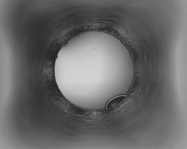 X0000114231109200910161605