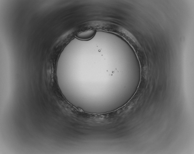 X0000114231111200910161605