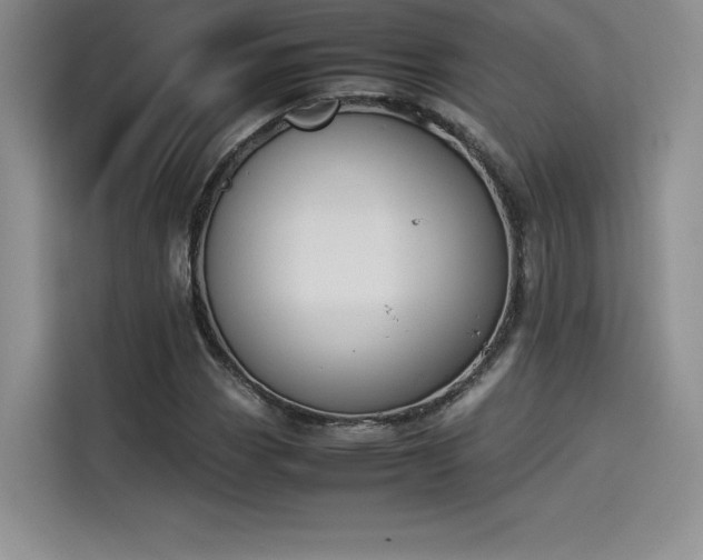 X0000114231113200910161605