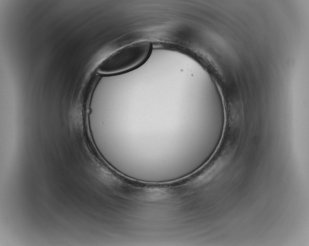 X0000114231114200910161605