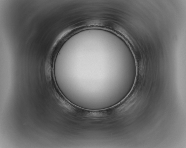 X0000114231115200910161605