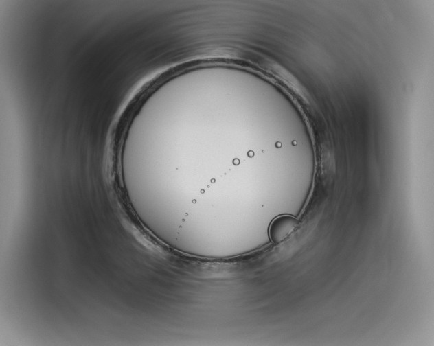 X0000114231116200910161605
