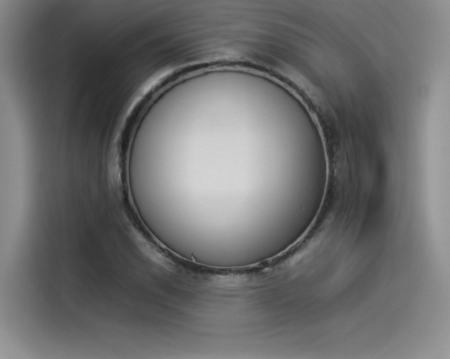 X0000114231118200910161605