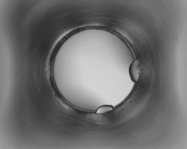 X0000114231119200910161605