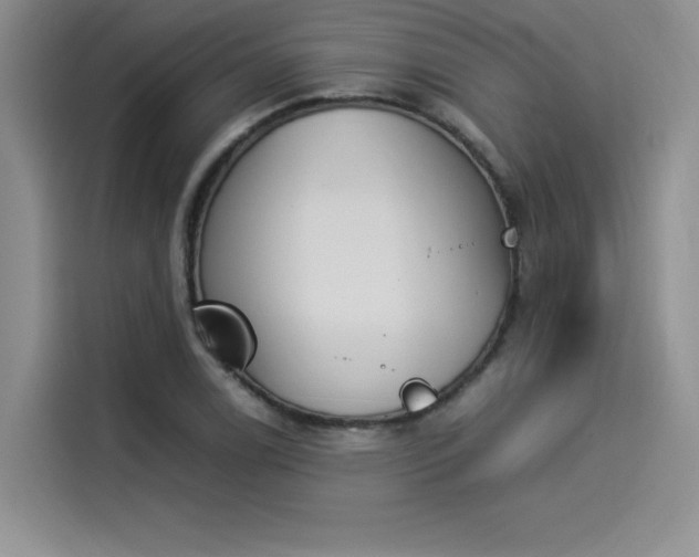 X0000114231122200910161605