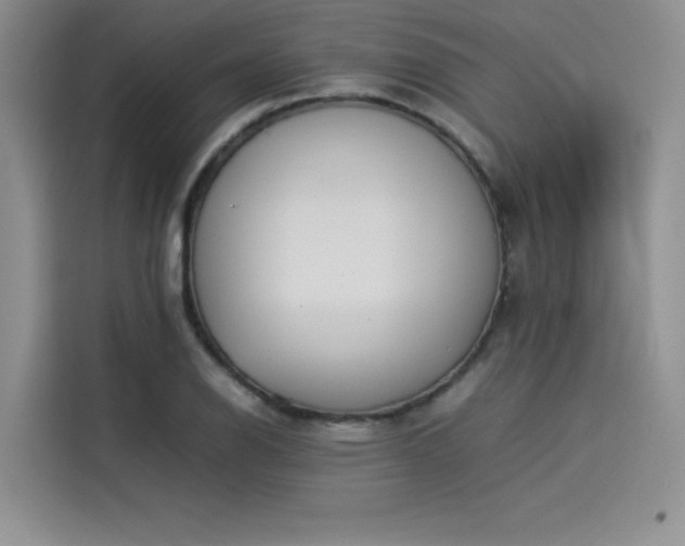 X0000114231126200910161605