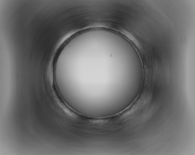 X0000114231127200910161605