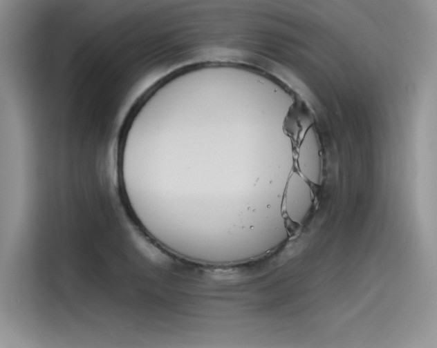 X0000114231128200910161605