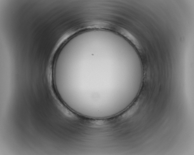 X0000114231130200910161605