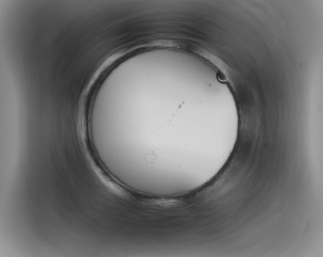 X0000114231131200910161605