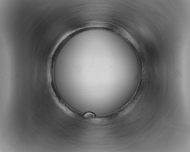 X0000114231132200910161605