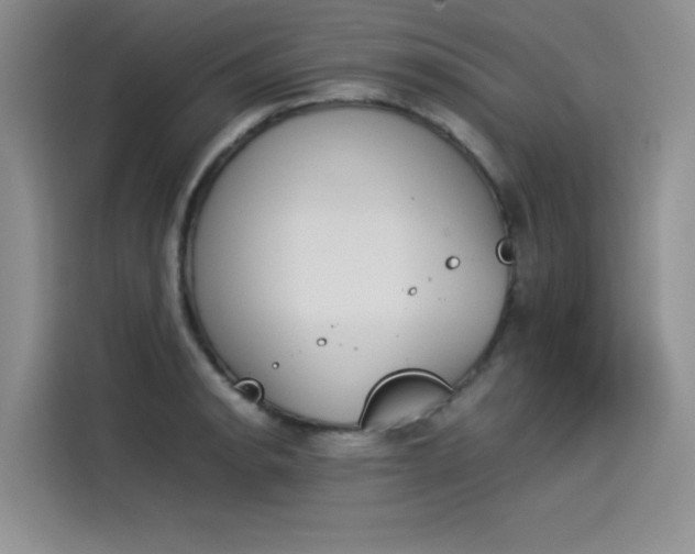 X0000114231134200910161605