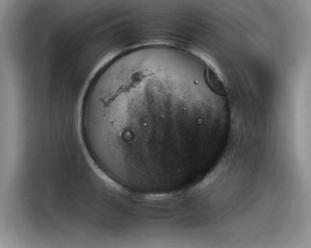 X0000114231135200910161605