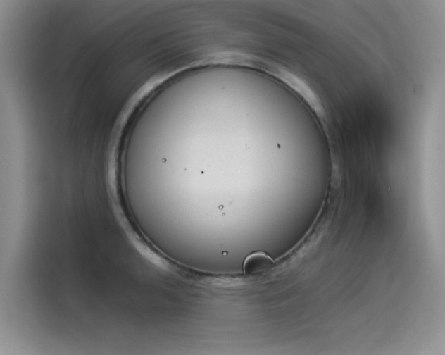 X0000114231136200910161605