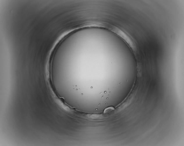 X0000114231140200910161605