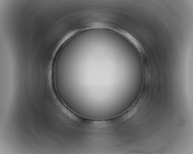 X0000114231142200910161605